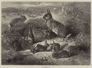 The Months, May by George Bouverie Goddard